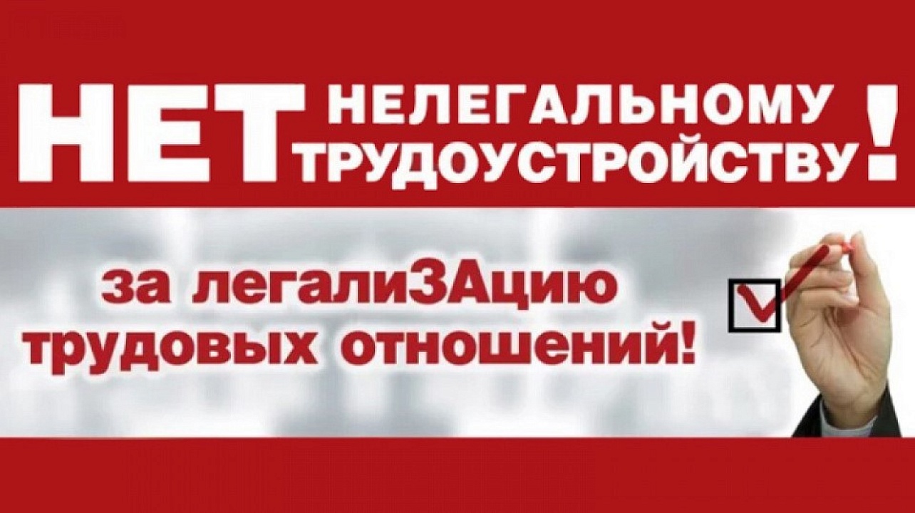 В настоящее время повышение уровня заработной платы, создание условий для своевременной ее выплаты, легализация теневой занятости и скрытых форм оплаты труда остается одной из основных задач в сфере социально - правовых отношений..