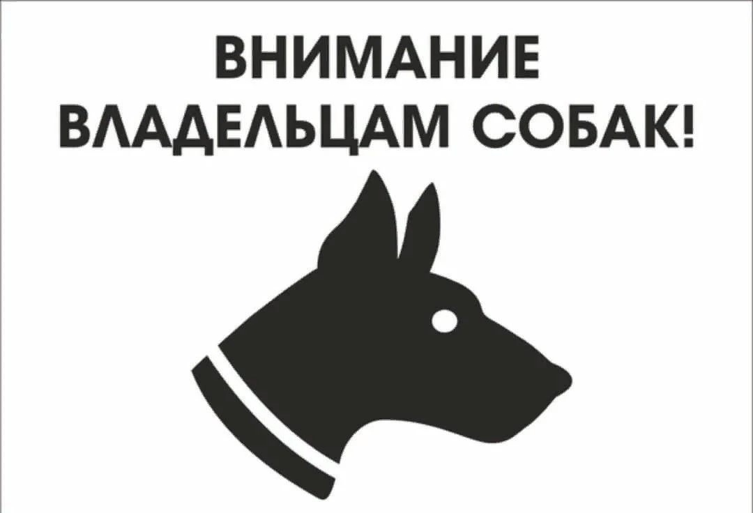 На территории Мишкинского муниципального округа будет проходить отлов бесхозных, безнадзорных и агрессивных собак.