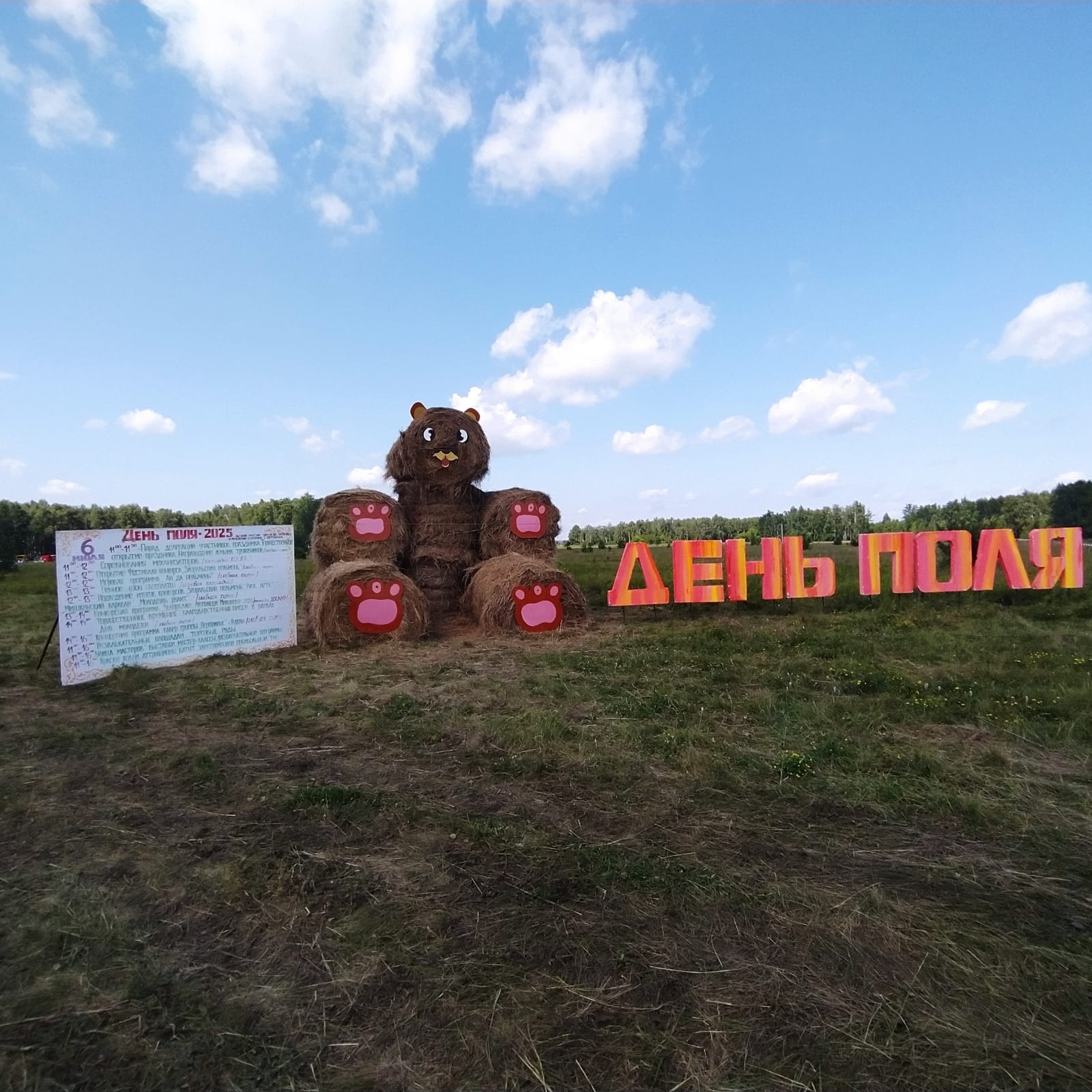 День поля – традиционный праздник, который ежегодно проводится в Мишкинском муниципальном округе.