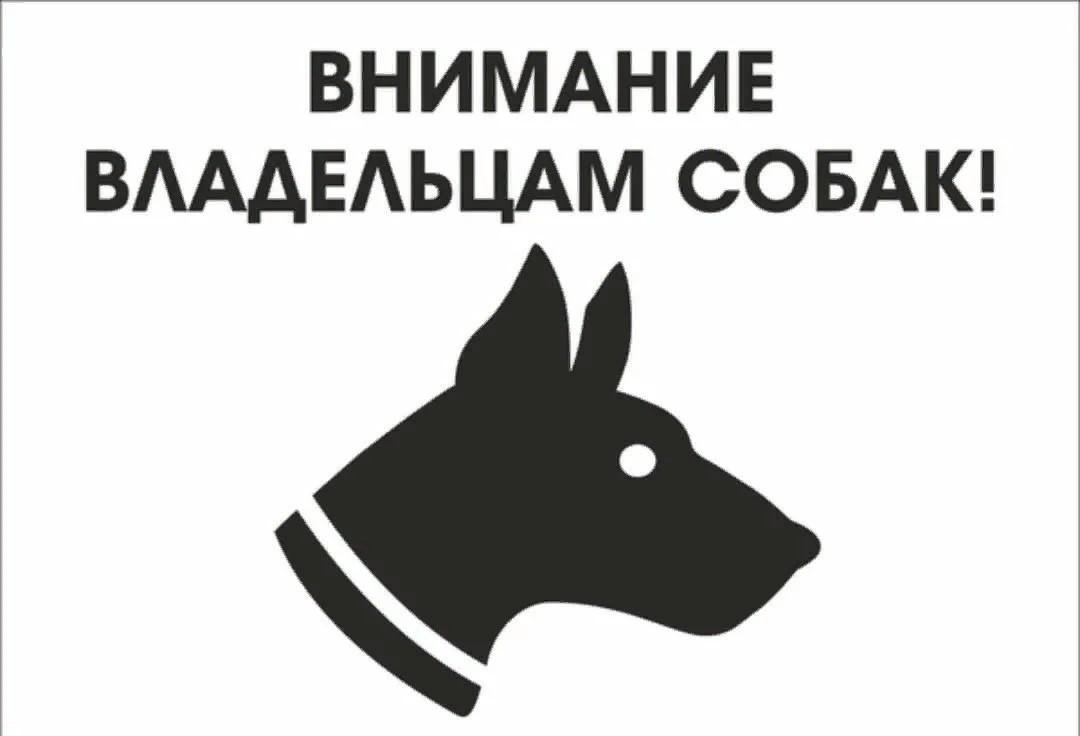 Внимание владельцев собак!.