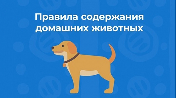 ПАМЯТКА  о  требованиях и правилах по содержанию домашних животных.