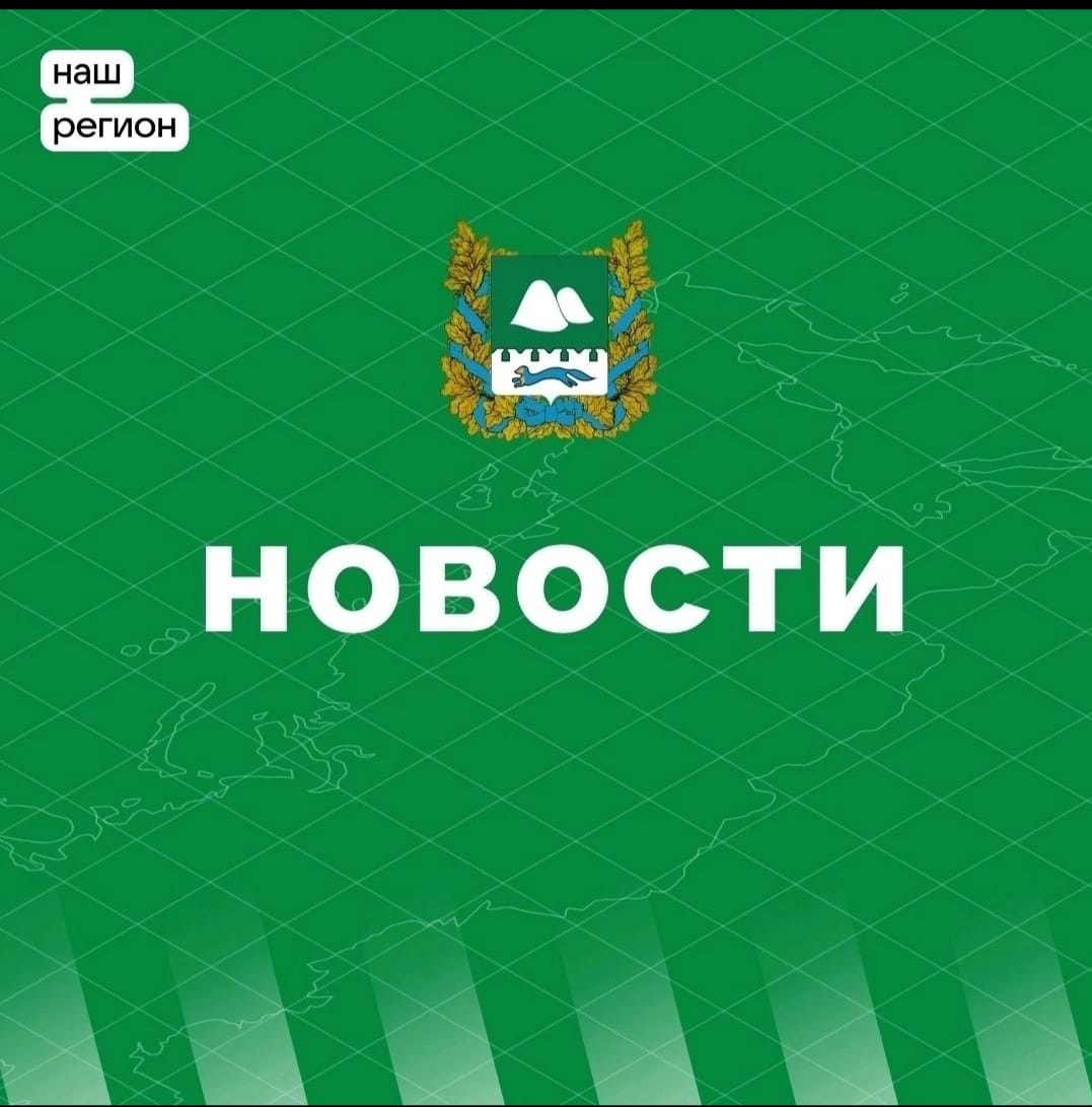 В Курганской области стартовал приём заявок на новую меру поддержки бизнеса – частичную компенсацию затрат на старт бизнеса по франшизе..