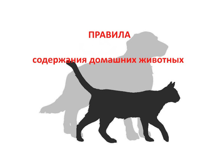 Памятка о требованиях и правилах по содержанию домашних животных. Памятка о требованиях и правилах по содержанию домашних животных.