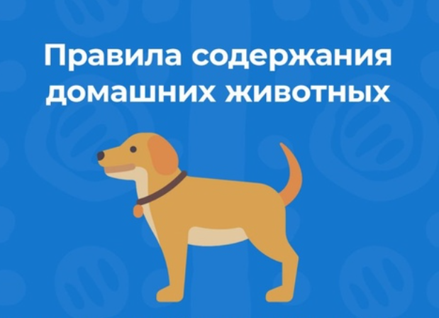 ПАМЯТКА о требованиях и правилах по содержанию домашних животных. ПАМЯТКА о требованиях и правилах по содержанию домашних животных.